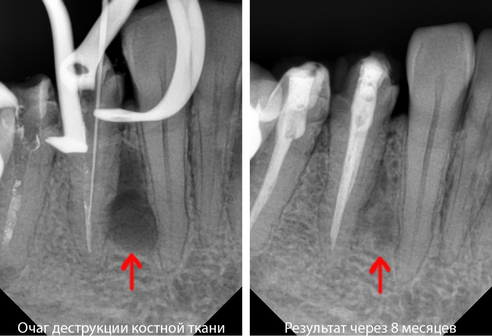 Фото клиники Smile Центр